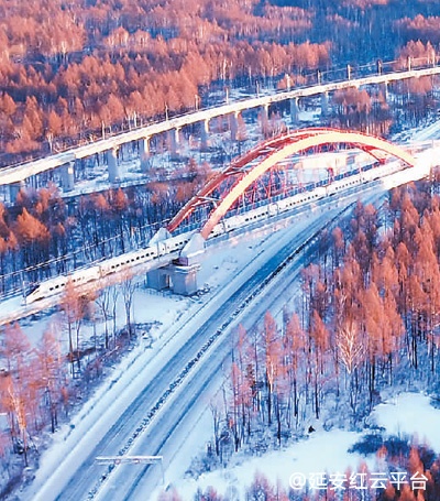 218.jpg