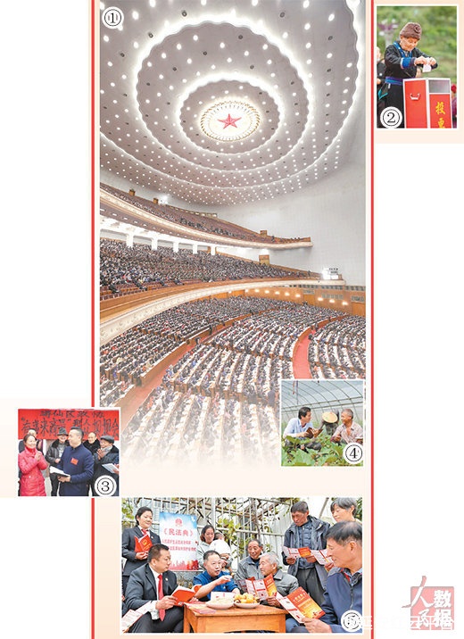 236.jpg